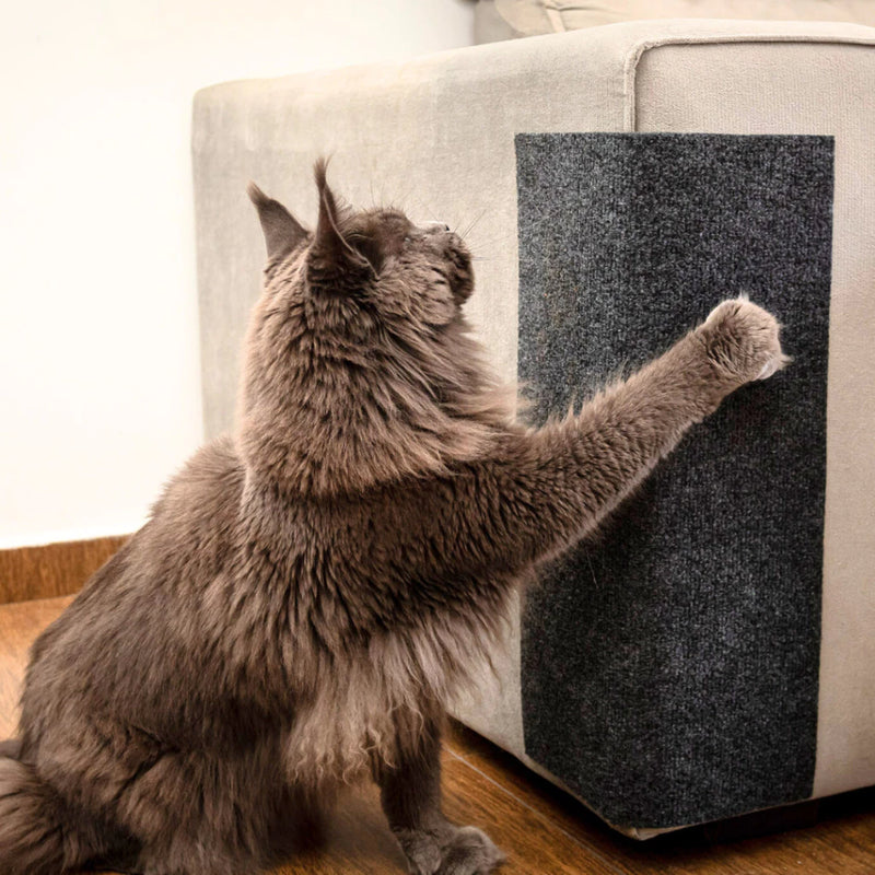 Arranhador de Gato com Carpete Premium Autoadesivo.